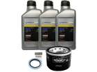 Kit Troca Óleo Renault Kwid 1.0 12V - 3L Castrol 10W40 + Filtro Óleo + Retentor