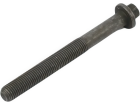 Parafuso do Bloco do Motor para Renault Master 2.5 16V 2003 até 2015 - Cod. 8200121560